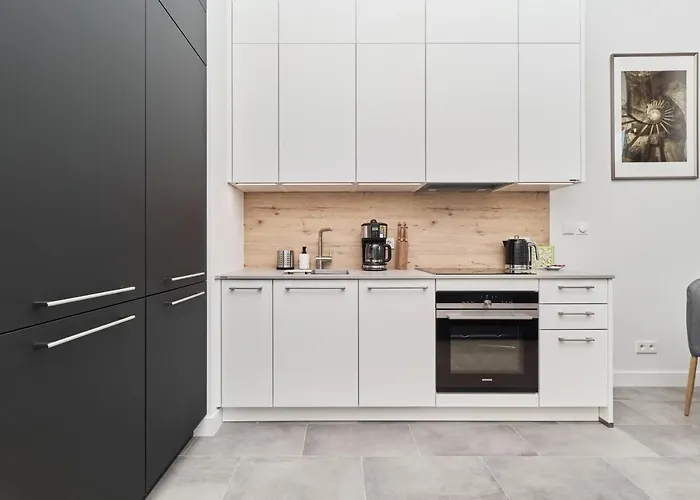 Eleganckie Studia Wyspa Slodowa By Renters Apartment Wroclaw